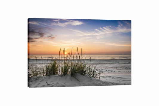 Beach Sunset Canvas White Background