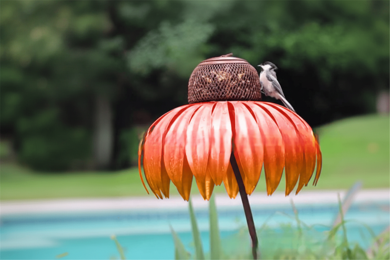 Orange feeder near water
